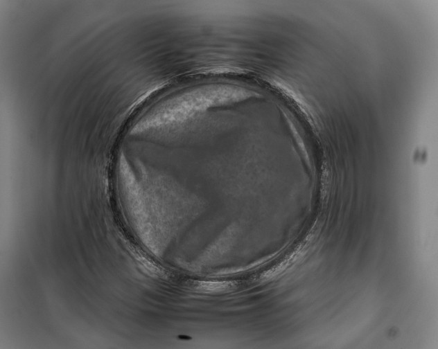 X0000099571305200806061553