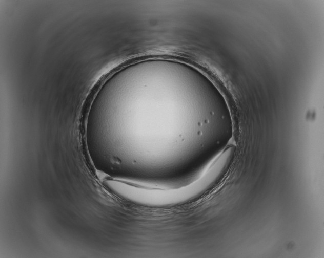 X0000099571308200806061553