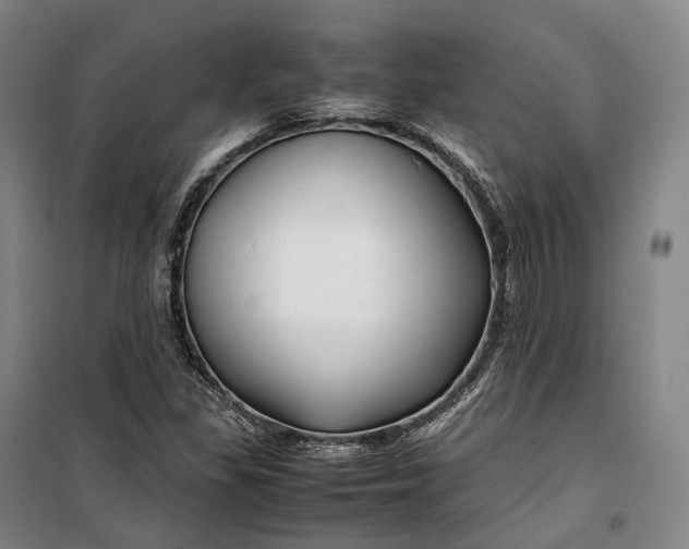 X0000099571309200806061553