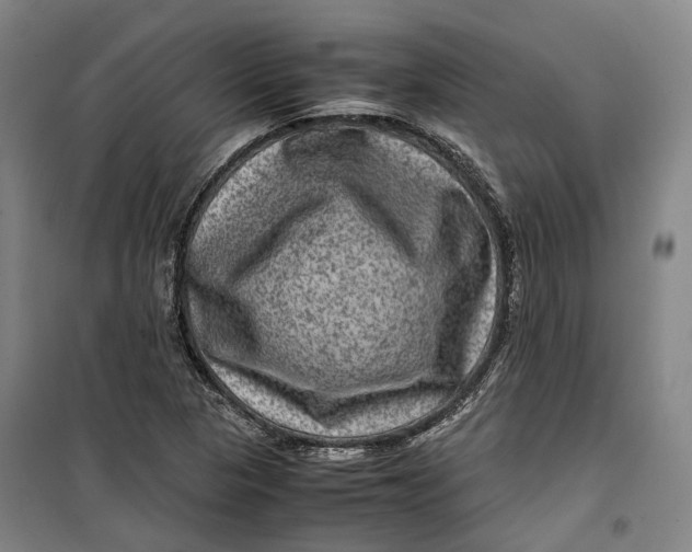 X0000099571313200806061553
