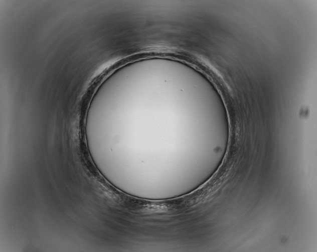 X0000099571315200806061553