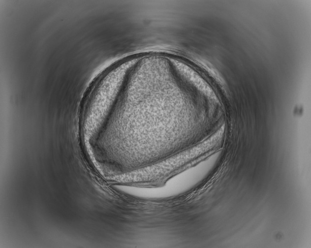 X0000099571316200806061553