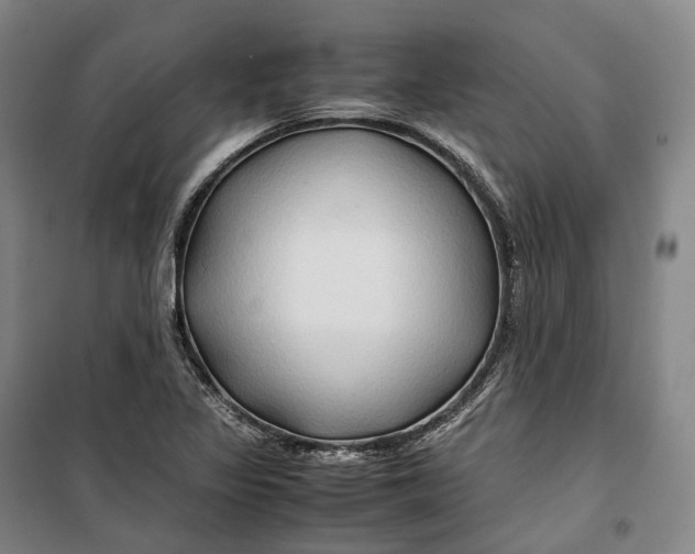 X0000099571317200806061553