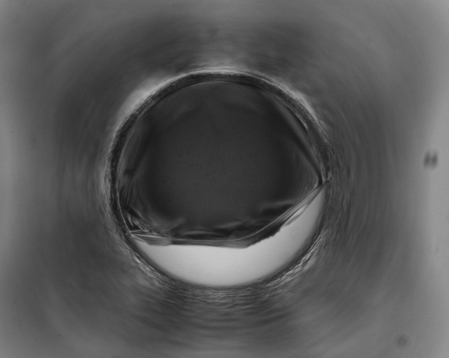 X0000099571319200806061553