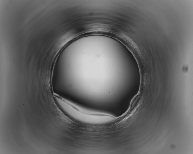 X0000099571321200806061553