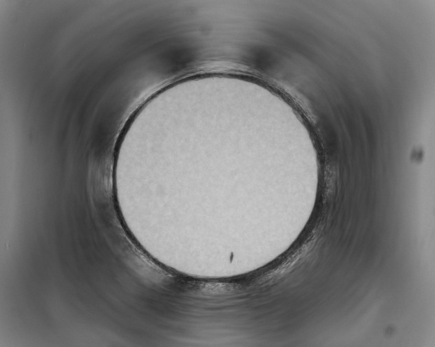 X0000099571322200806061553
