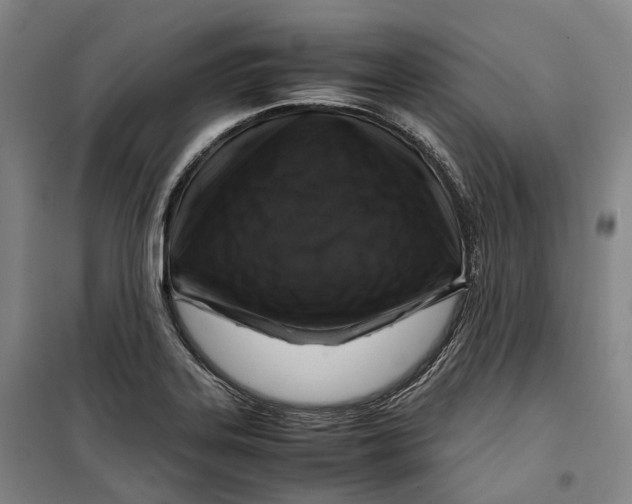 X0000099571323200806061553