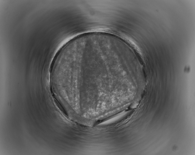 X0000099571324200806061553
