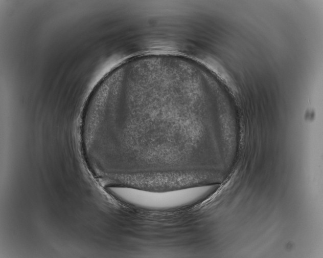 X0000099571325200806061554