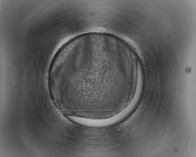 X0000099571326200806061554