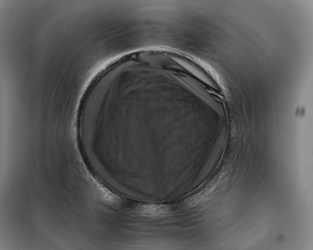 X0000099571327200806061554