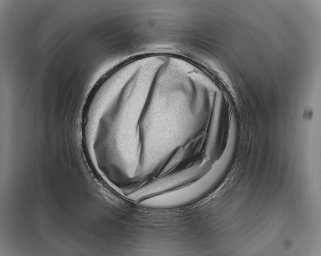 X0000099571328200806061554