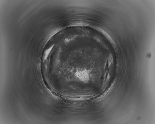 X0000099571329200806061554