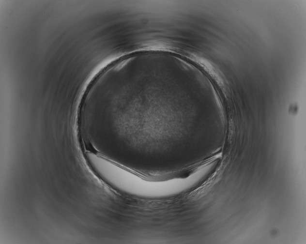 X0000099571331200806061554