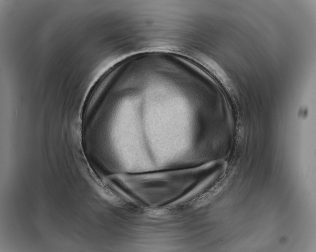 X0000099571332200806061554