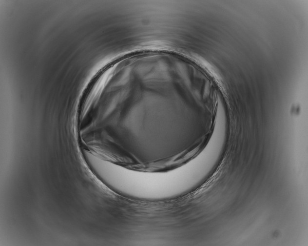 X0000099571334200806061554