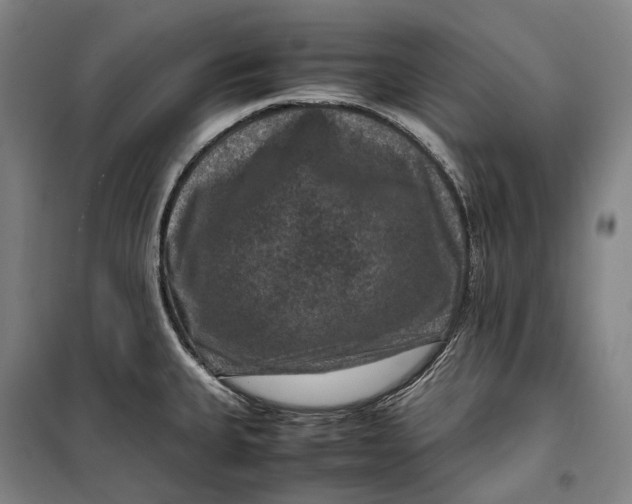 X0000099571335200806061554