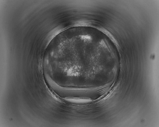X0000099571337200806061554