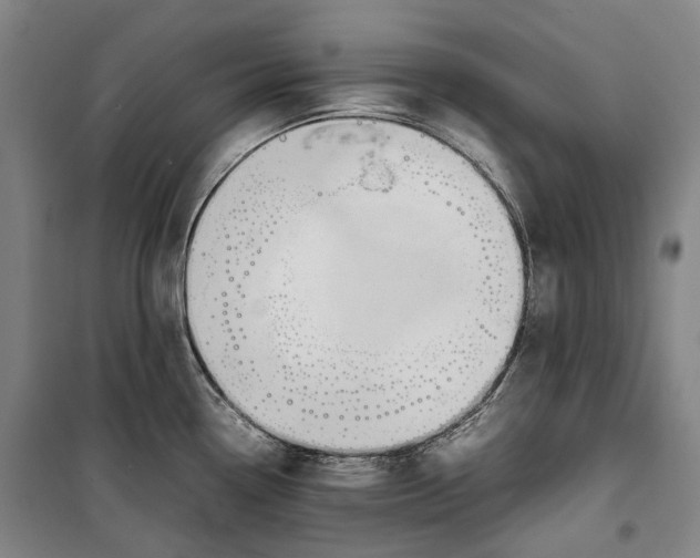 X0000099571338200806061554