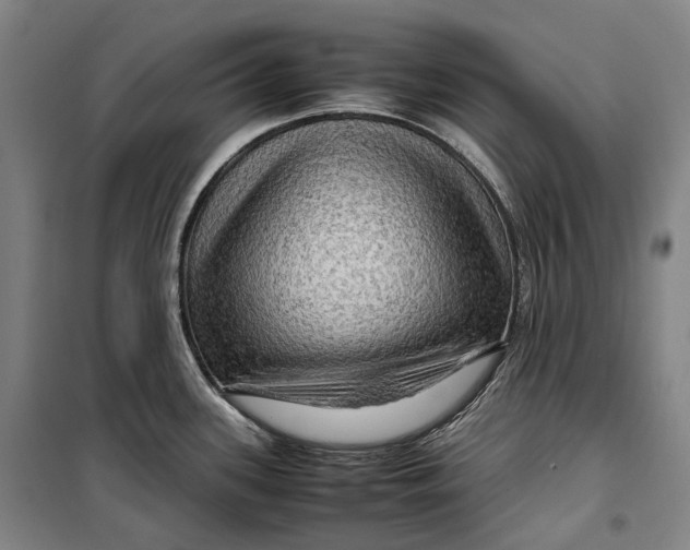 X0000099571339200806061554