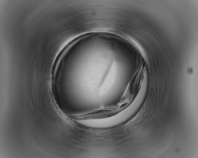 X0000099571340200806061554