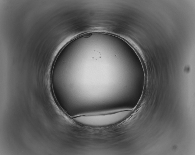 X0000099571341200806061554