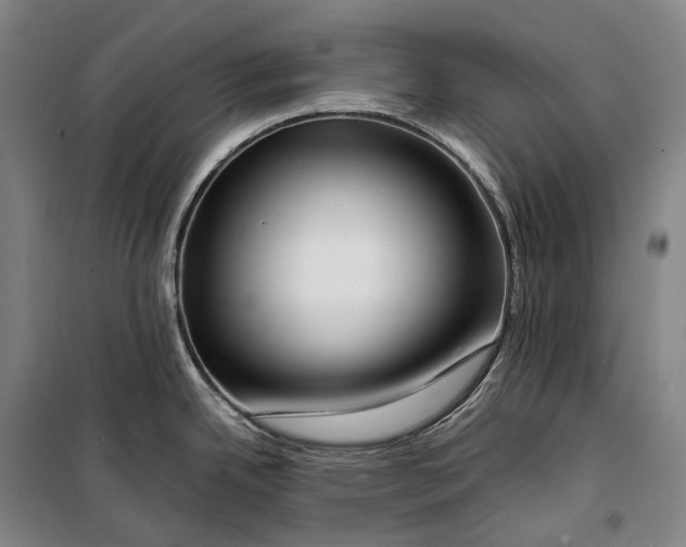 X0000099571342200806061554