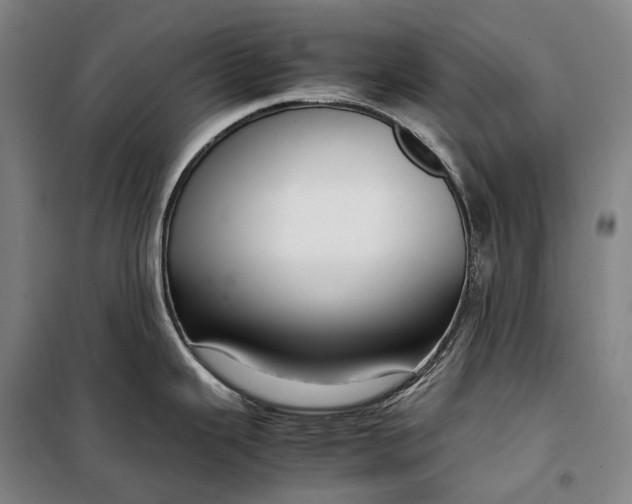 X0000099571343200806061554