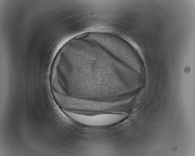 X0000099571344200806061554