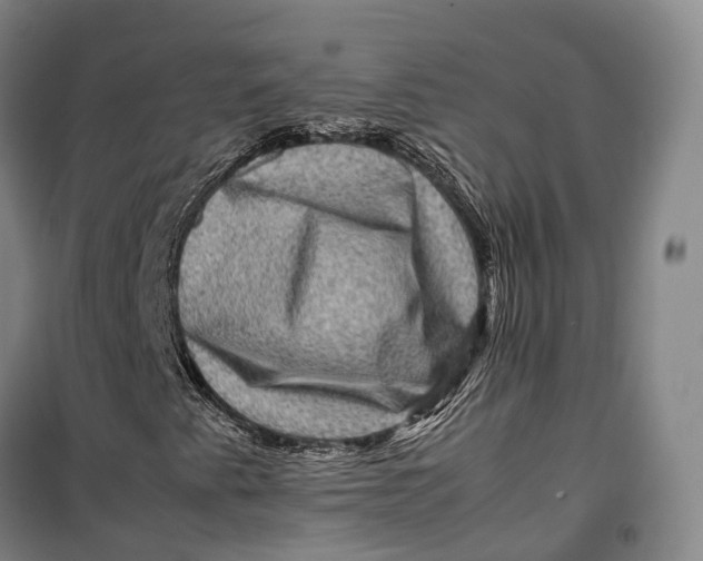 X0000099571345200806061553