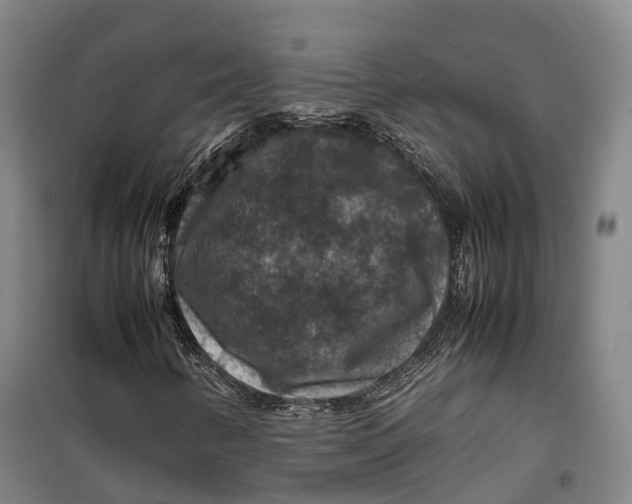 X0000099571346200806061553