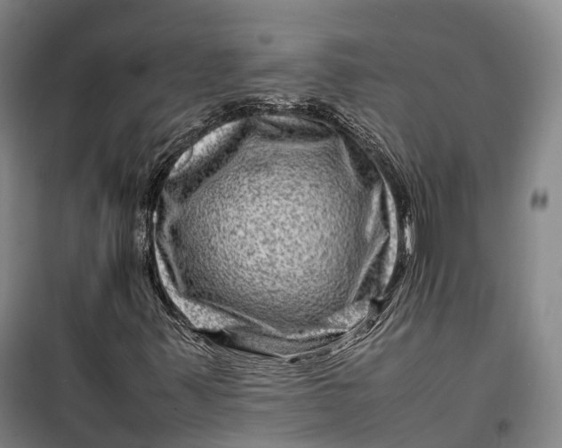 X0000099571347200806061553