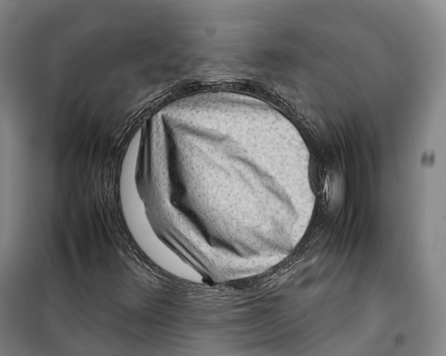 X0000099571348200806061553