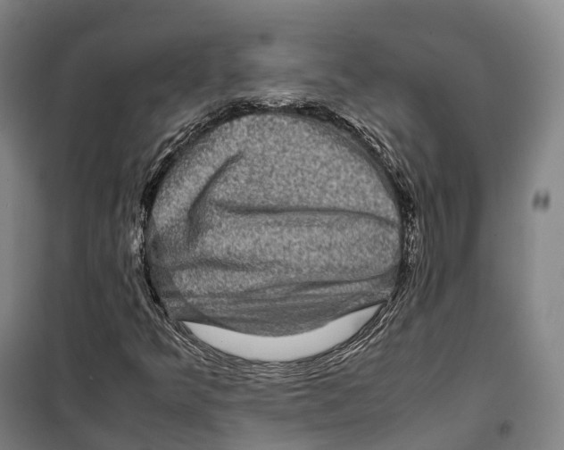 X0000099571349200806061553