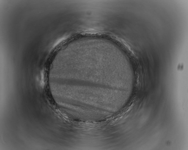 X0000099571350200806061553