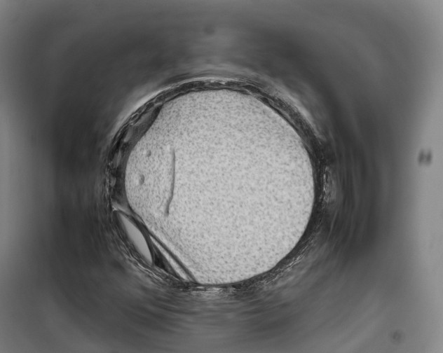 X0000099571352200806061553