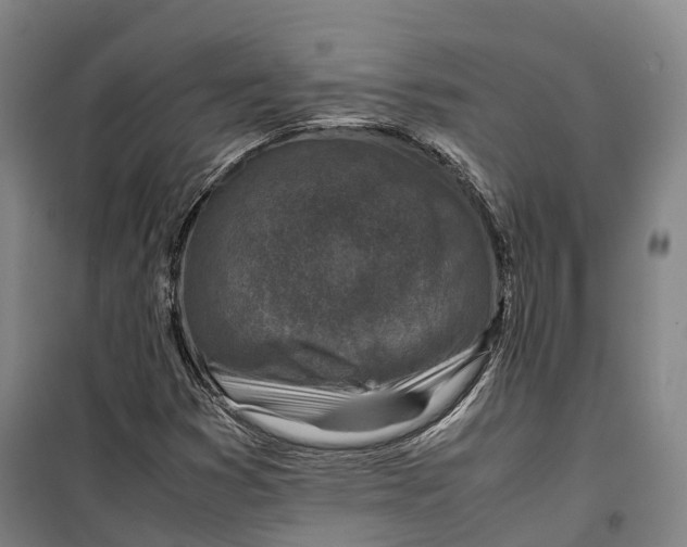 X0000099571353200806061553