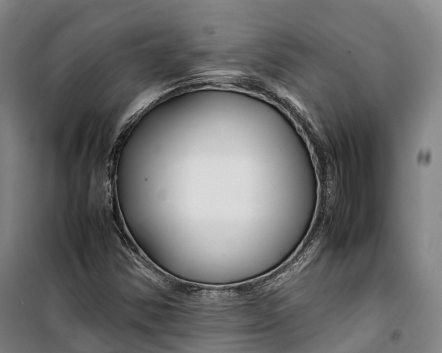 X0000099571354200806061553