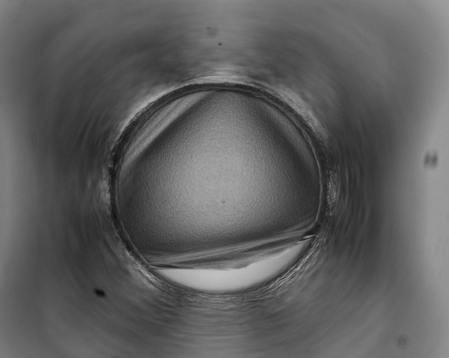 X0000099571356200806061553