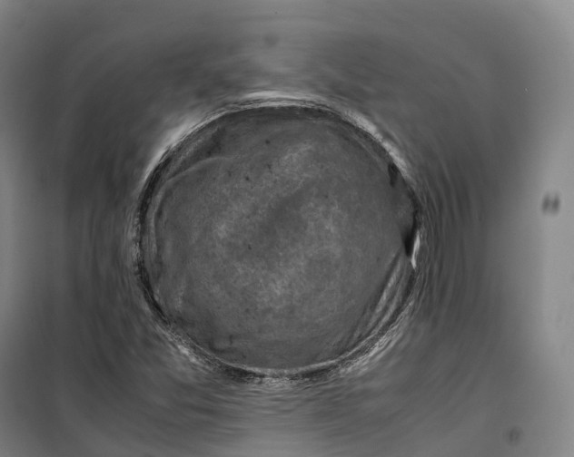 X0000099571357200806061553