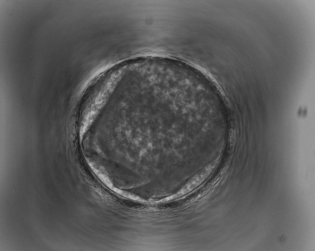 X0000099571359200806061553