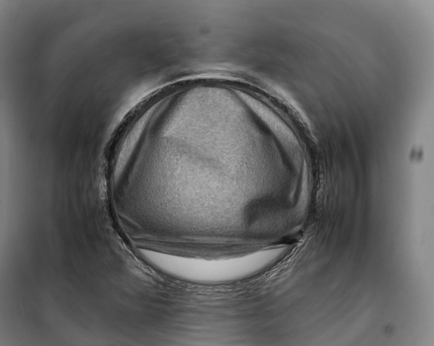 X0000099571360200806061553