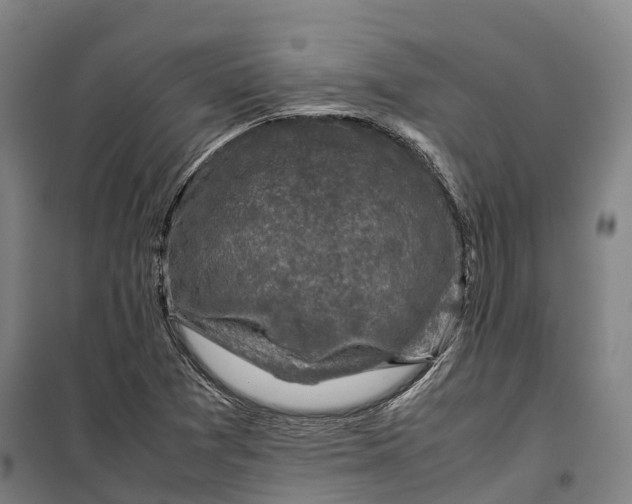 X0000099571361200806061553