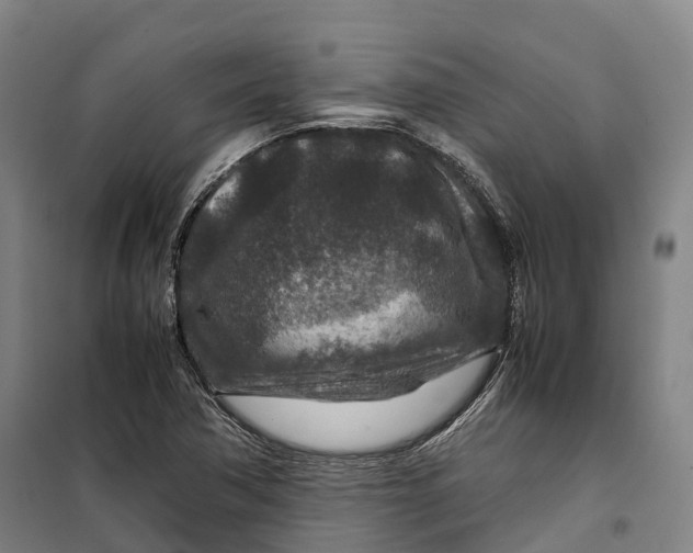 X0000099571362200806061553