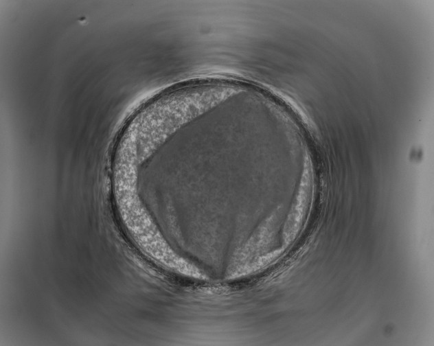 X0000099571363200806061553