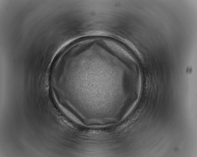 X0000099571364200806061553