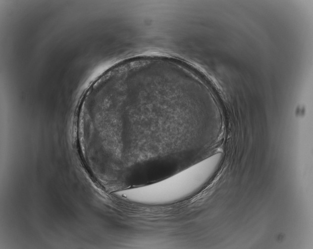 X0000099571367200806061553