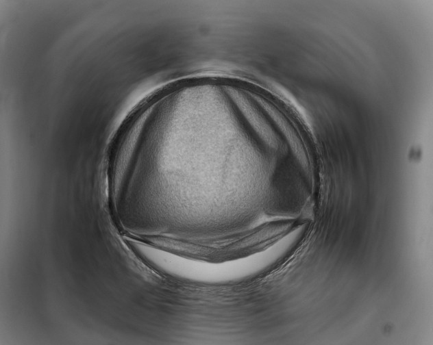 X0000099571368200806061553