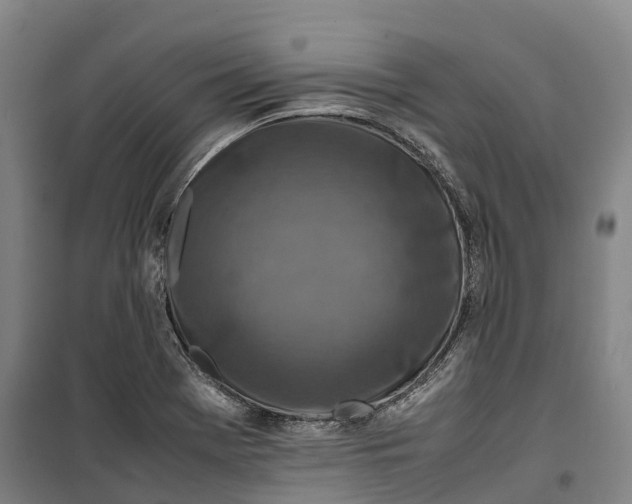 X0000099571369200806061553