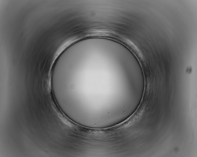 X0000099571370200806061553